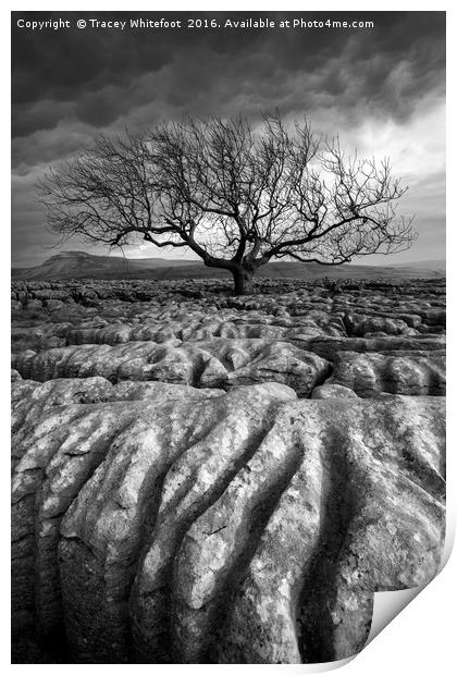 Scarred Landscape (Mono) Print by Tracey Whitefoot