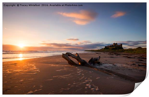 Bamburgh Sunrise  Print by Tracey Whitefoot