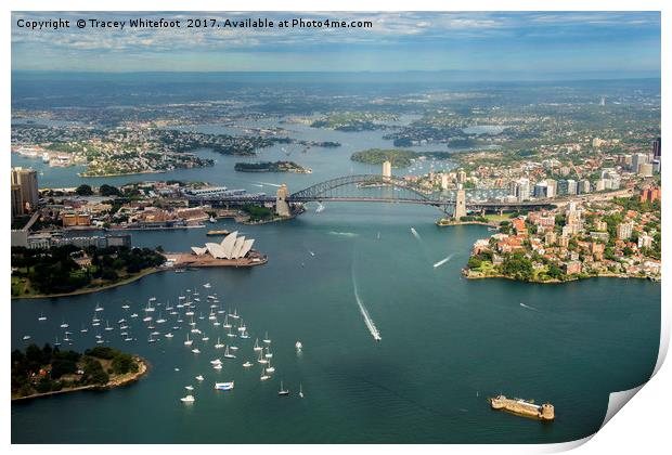 Sydney from the Air  Print by Tracey Whitefoot
