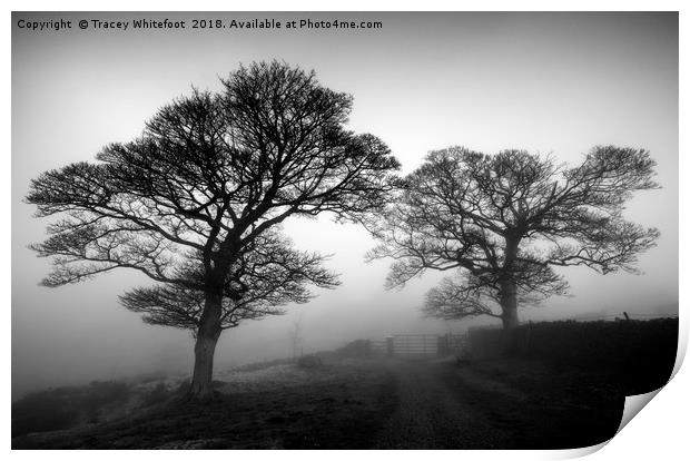 Silhouettes in the Mist Print by Tracey Whitefoot