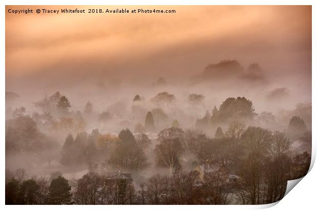 Out of the Mist  Print by Tracey Whitefoot