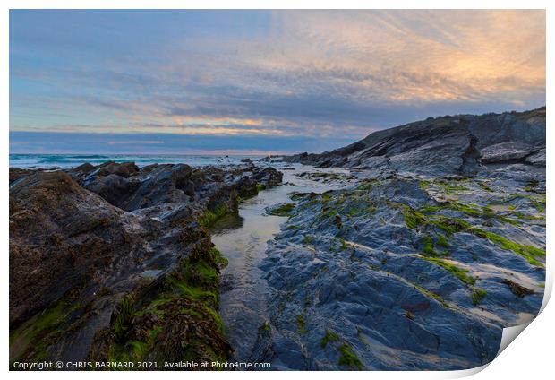 Dollar Cove Sunset Print by CHRIS BARNARD