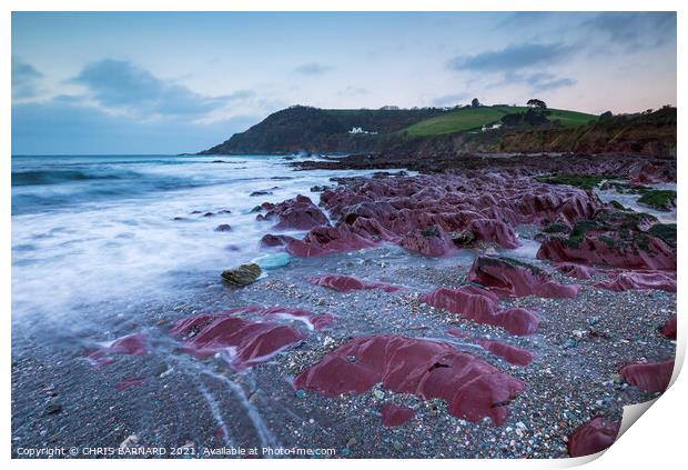 Talland Bay Red Rocks Print by CHRIS BARNARD