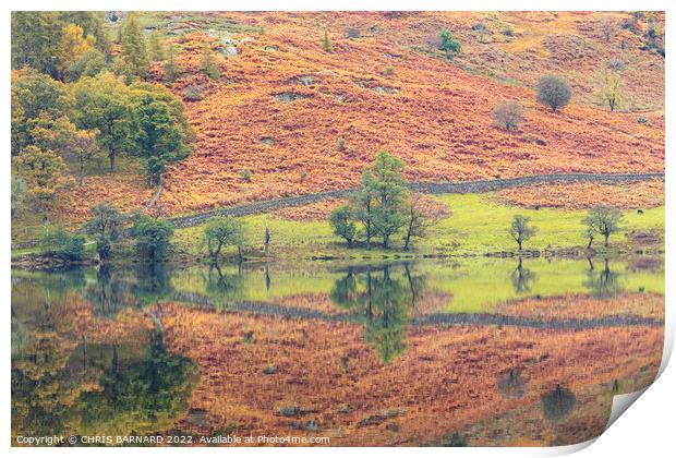 Rydal Water Reflections Print by CHRIS BARNARD