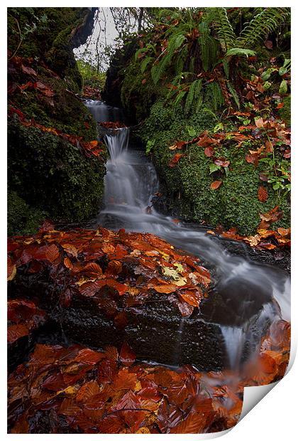 Waterfall In The Woods Print by CHRIS BARNARD