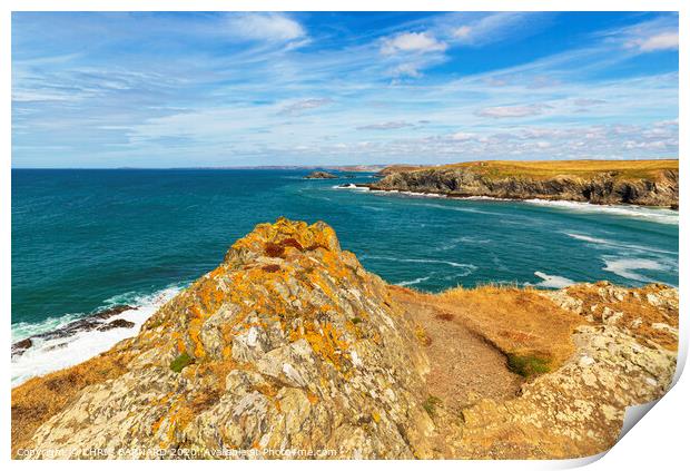 West Pentire View Print by CHRIS BARNARD