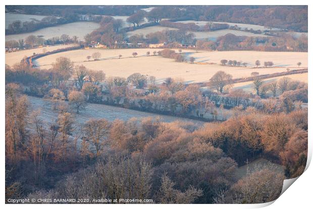 Frosty Dawn Cornwall Print by CHRIS BARNARD