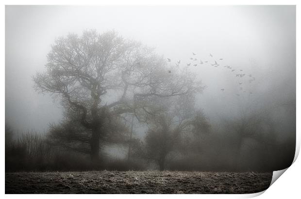 Misty Morning Print by steve weston