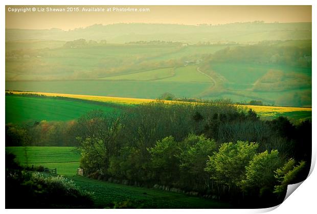  Patchwork Fields Blue Green Dorset Print by Liz Shewan