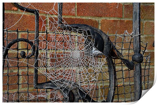 Frozen Spider Web Print by Mark  F Banks