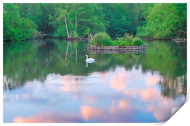 Evening Light At Headley Mill Pond Print by Mark  F Banks