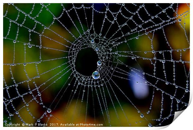 Spider web with Dew Print by Mark  F Banks