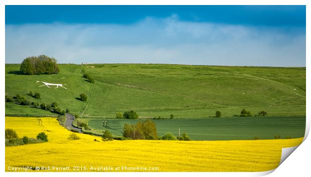 Whitehorse over Rape Seed Print by Rob Perrett