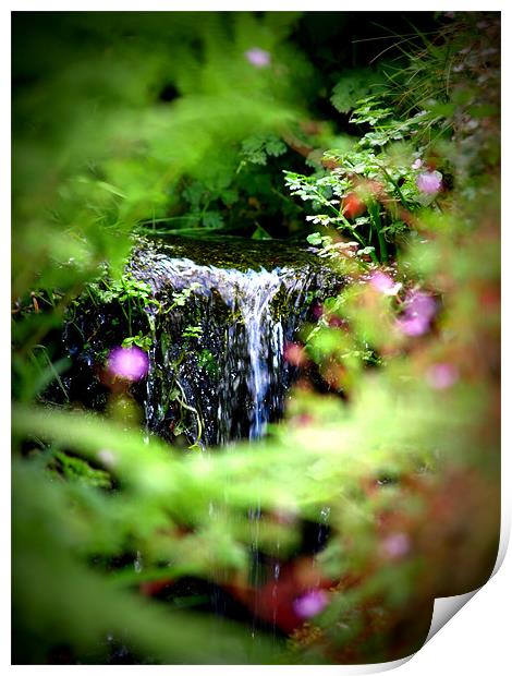 waterfall Print by trudi green