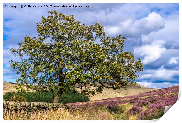 Goyt Valley Print by Colin Keown