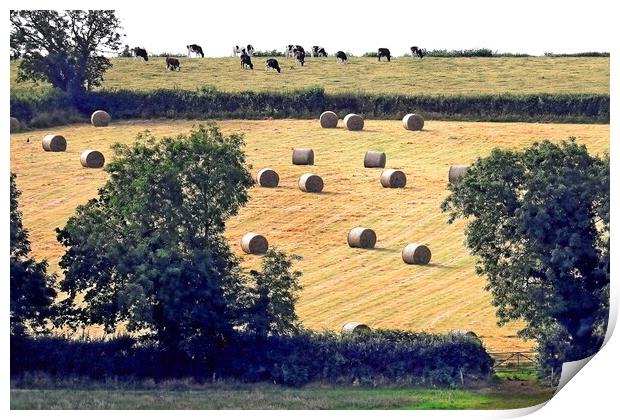 Harvest on Hillside Print by Bryan 4Pics