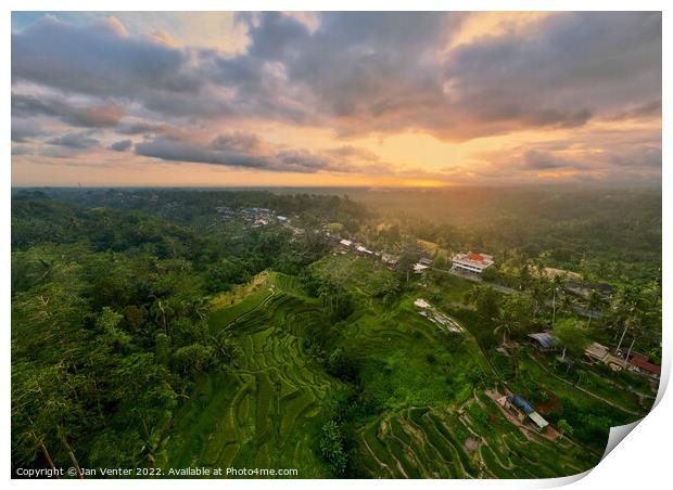 Bali rice terrace sunset Print by Jan Venter