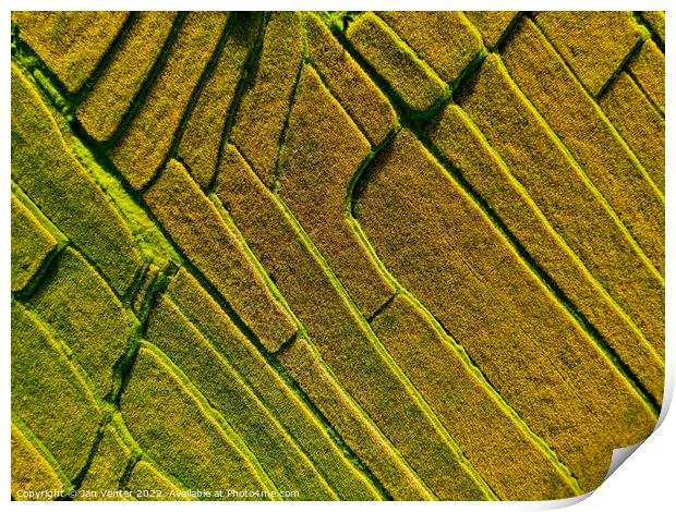 Rice terrace pattern Print by Jan Venter