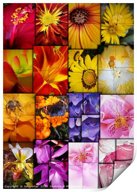 Floral Collage Print by Jan Venter