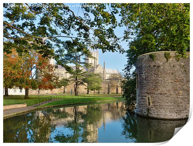 wells cathedral moat and bishopspalace Print by austin APPLEBY