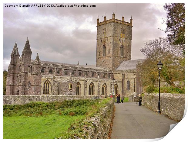 St Davids Cathedral Pembrokeshire Print by austin APPLEBY