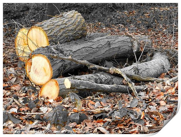 LOGS AND LEAVES Print by austin APPLEBY