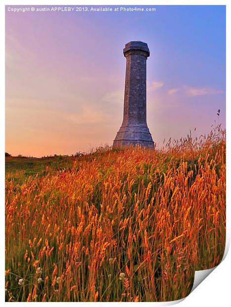 THE HARDY MONUMENT AT DUSK Print by austin APPLEBY