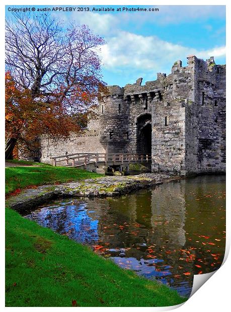 FALLING LEAVES AT BEAUMARIS CASTLE Print by austin APPLEBY
