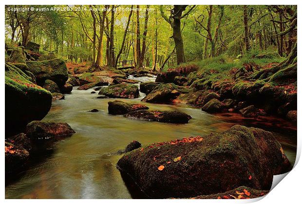  Golitha Falls Cornwall Print by austin APPLEBY