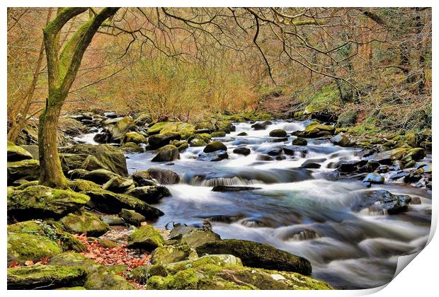 East Lyn River Exmoor Print by austin APPLEBY