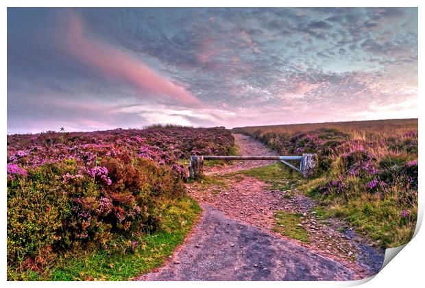 Pathway to Dunkery Beacon Exmoor Print by austin APPLEBY