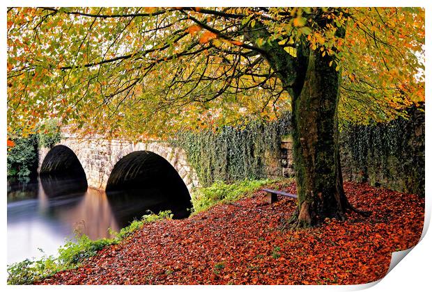 Autumnal Abbey Bridge Tavistock Devon Print by austin APPLEBY