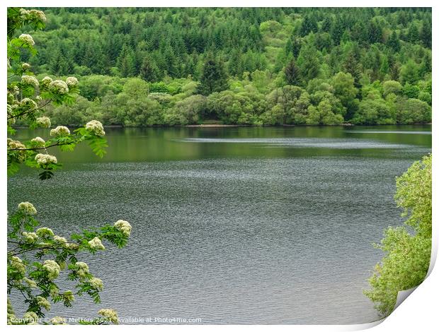 Llwyn-Onn Reservoir Print by Jane Metters