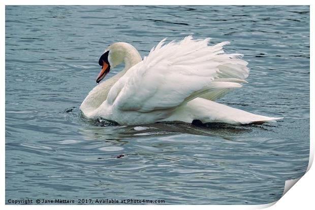 Gliding across the Lake Print by Jane Metters