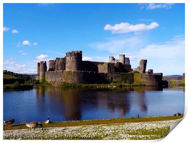 A View of Caerphilly Castle  Print by Jane Metters