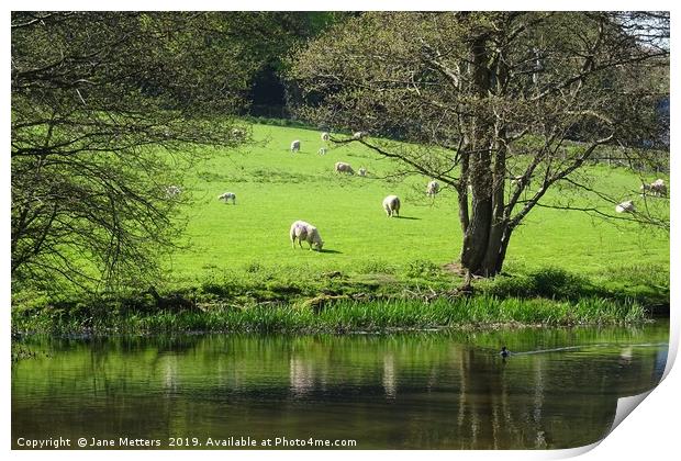 Life Beside A Canal Print by Jane Metters