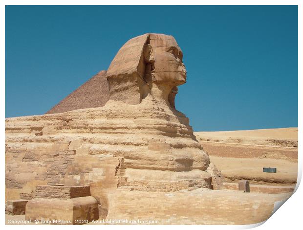 Sphinx of Giza Print by Jane Metters