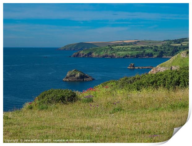 Devon’s Coastline  Print by Jane Metters