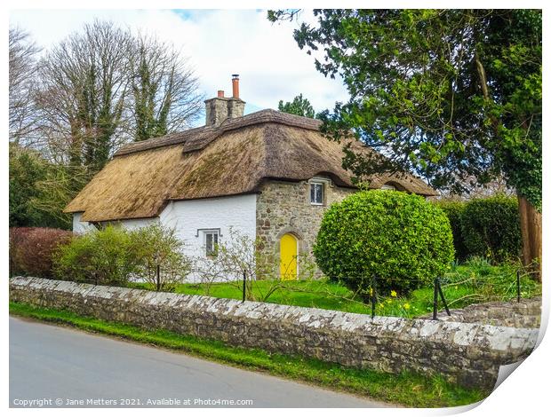 Thatched Cottage  Print by Jane Metters