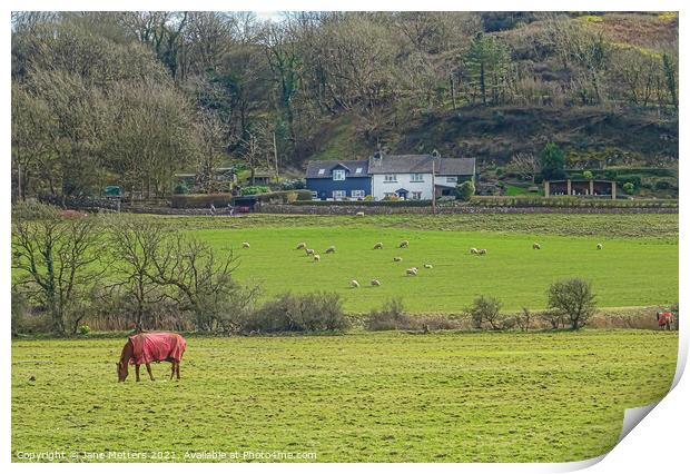 Fields of Green  Print by Jane Metters