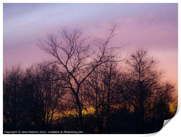 Sun Setting Behind the Trees Print by Jane Metters