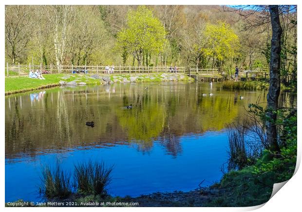 Barry Sidings Pond Print by Jane Metters