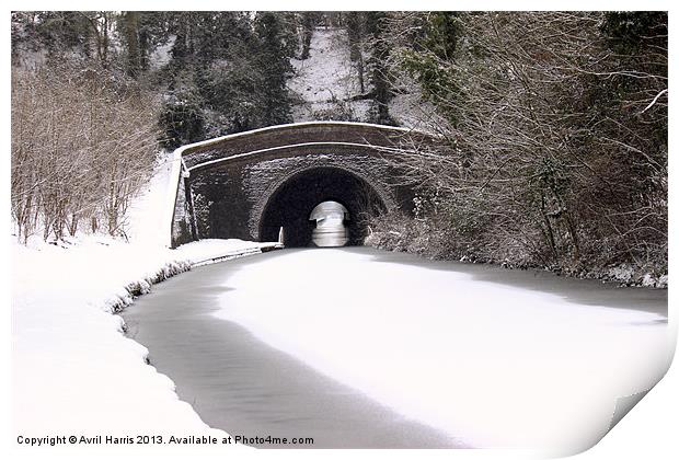 Snowing on the canal Print by Avril Harris