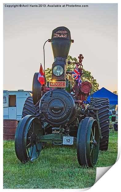 Moose traction engine at sunset Print by Avril Harris