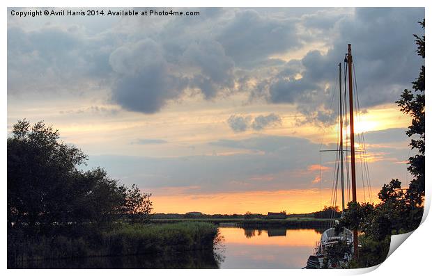  Sunset at horsey mere Print by Avril Harris