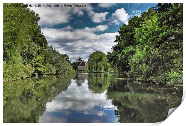 River Bure Wroxham to Coltishall Print by Avril Harris