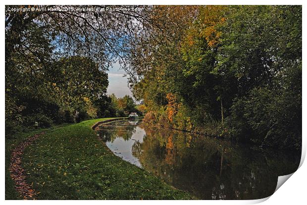  Oxford Canal in the Autumn Print by Avril Harris