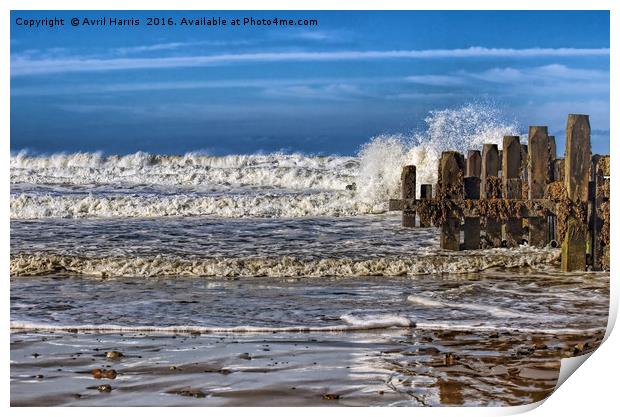 White waves on walcott beach Print by Avril Harris