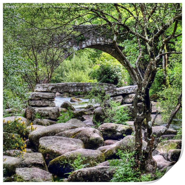 Two Bridges at Dartmeet Devon Print by Avril Harris