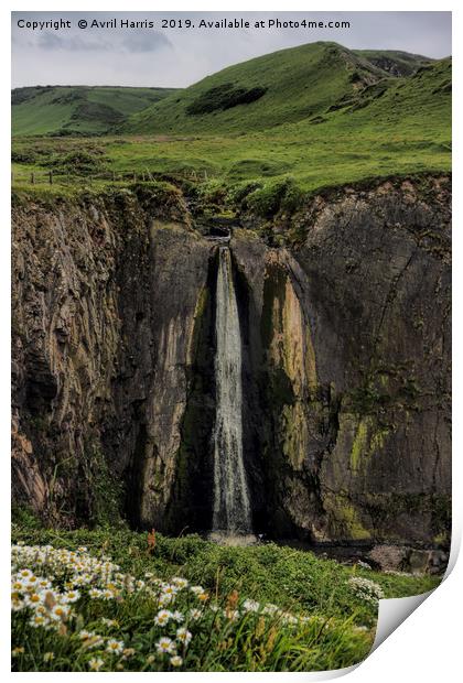 Spekes Mill Mouth Waterfall Devon Print by Avril Harris